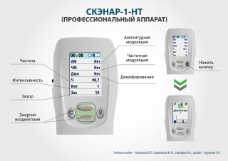 СКЭНАР-1-НТ (исполнение 01)  в Выборге купить Нейродэнс ПКМ официальный сайт - denasdevice.ru 